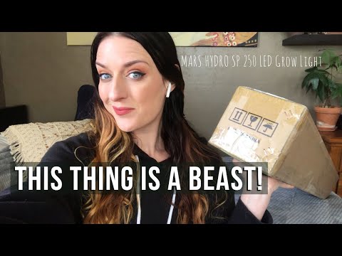 First Impression Review