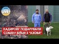 ⚡️Росіянин вкрав собаку одного із захисників "Азовсталі" в Маріуполі та подарував її Кадирову