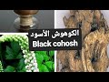 فوائد الكوهوش الأسود التي لم تعرفها سابقا Youtube