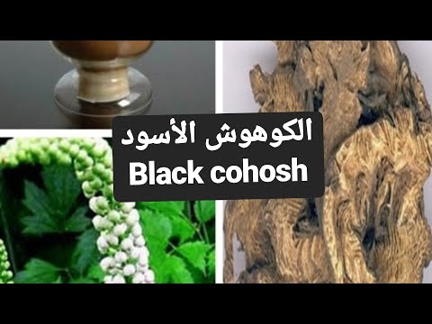 فوائد الكوهوش الأسود التي لم تعرفها سابقا 