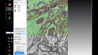 Machine Learning for Semantic Segmentation - Basics of Modern Image Analysis screenshot 5