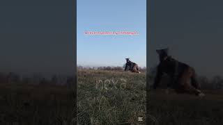 I caught a piece of my shift on camera #therian #antizoo #shift #therianthropy #jump #therianshift