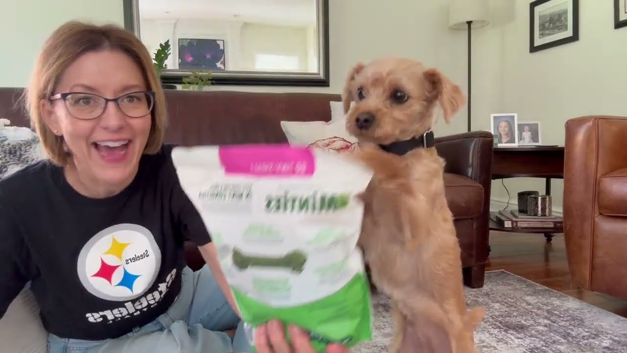 My Dog Begs for These Dental Chews - Dog Teeth Cleaning Treat - Minties