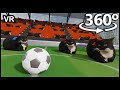 Football with maxwell the cat in 360 vr4k