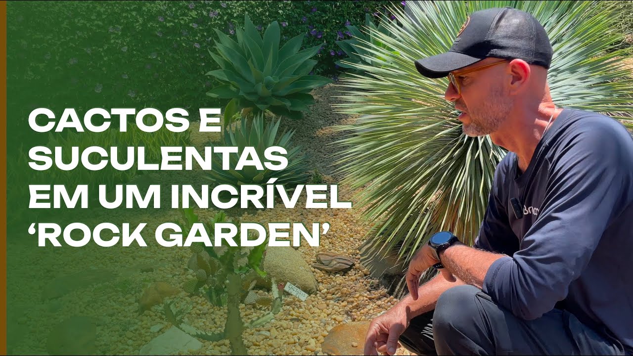 Сад из суккулентов и кактусов: удивительный рок-гарден.