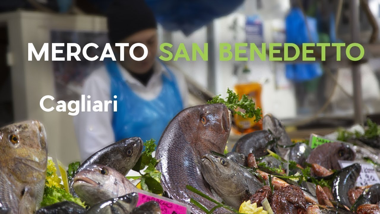 mercato civico temporaneo di san benedetto