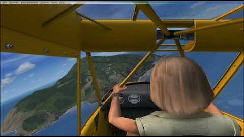 A2A Piper J-3 Cub with active passenger