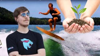Saving Trees Mrbeast