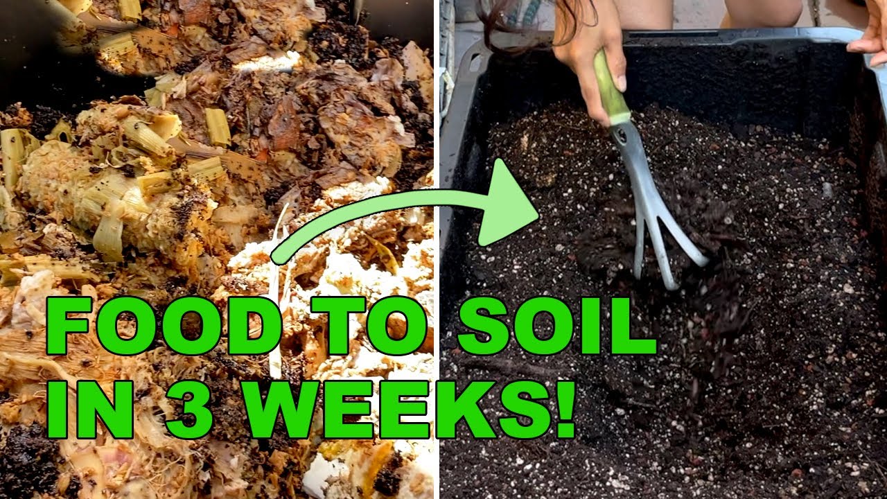 Bokashi composting: a beginner's guide to slimming down your black bin  waste — Jane Perrone