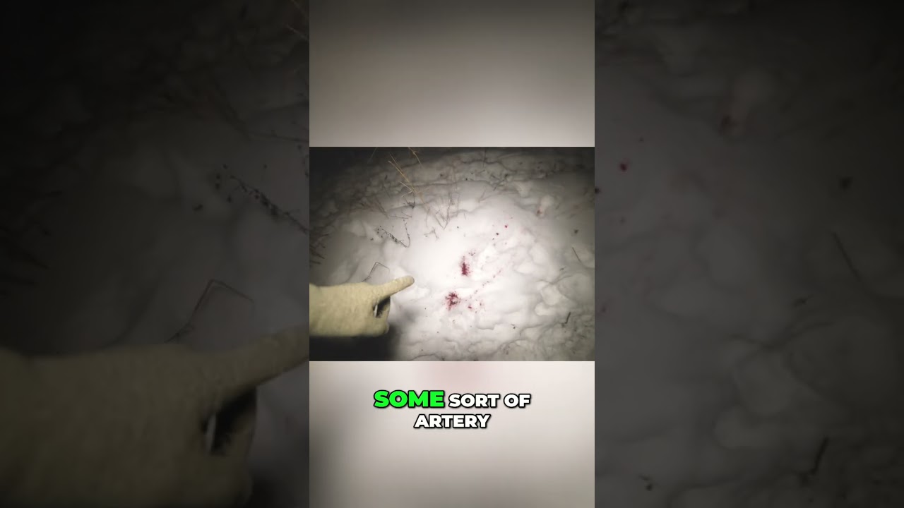 Hunting Deer: Tracking Wounded Prey in Snowy Night! #shorts