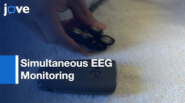 Simultaneous EEG Monitoring During Transcranial Direct Current Stimulation l Protocol Preview