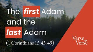 The First Adam and the Last Adam (1 Corinthians 15:45, 49) | Verse by Verse