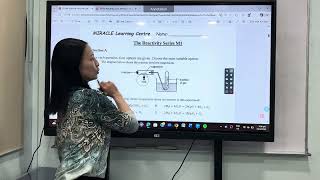 Learn The Reactivity Series Fast Magnesium Mcq Tutorial Chemistry Tuition W Mrs Lew