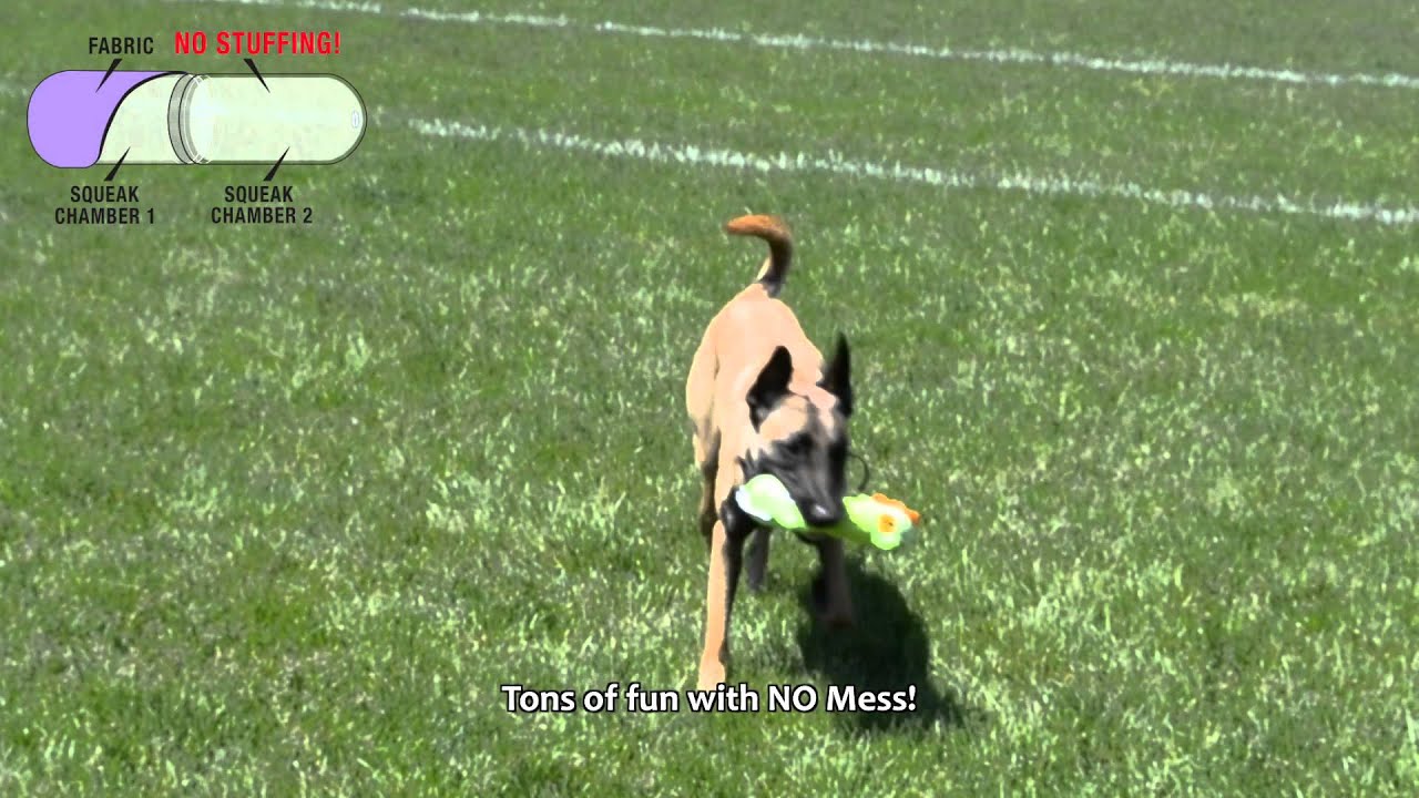 Petstages Stuffing Free Gator - Dog Toy