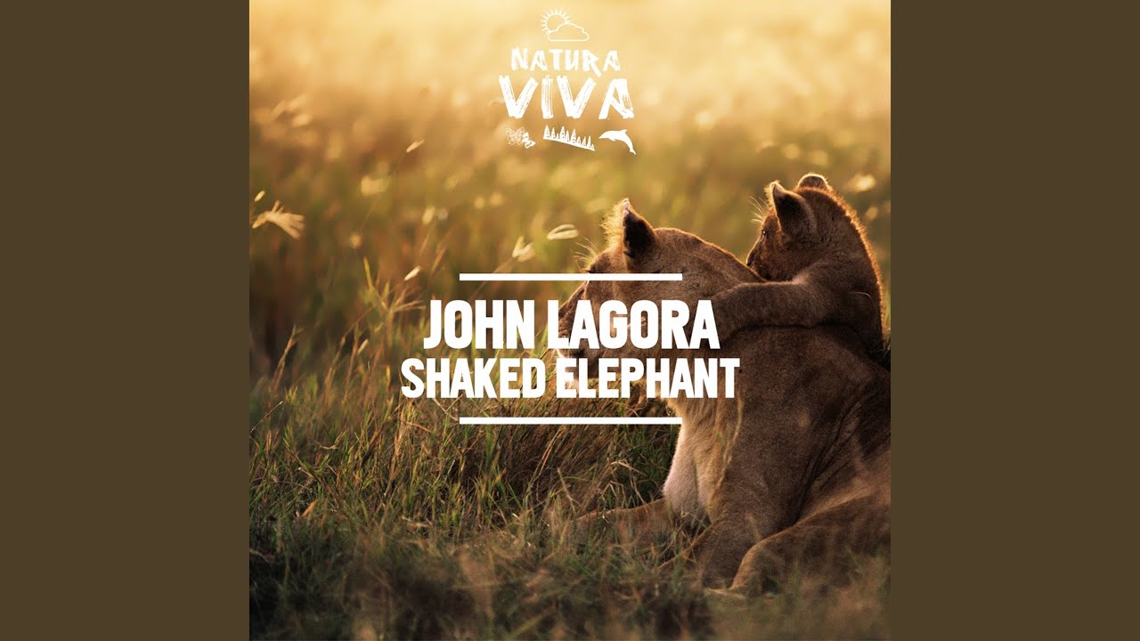 Guarda Elephant su YouTube Guarda Elephant su YouTube