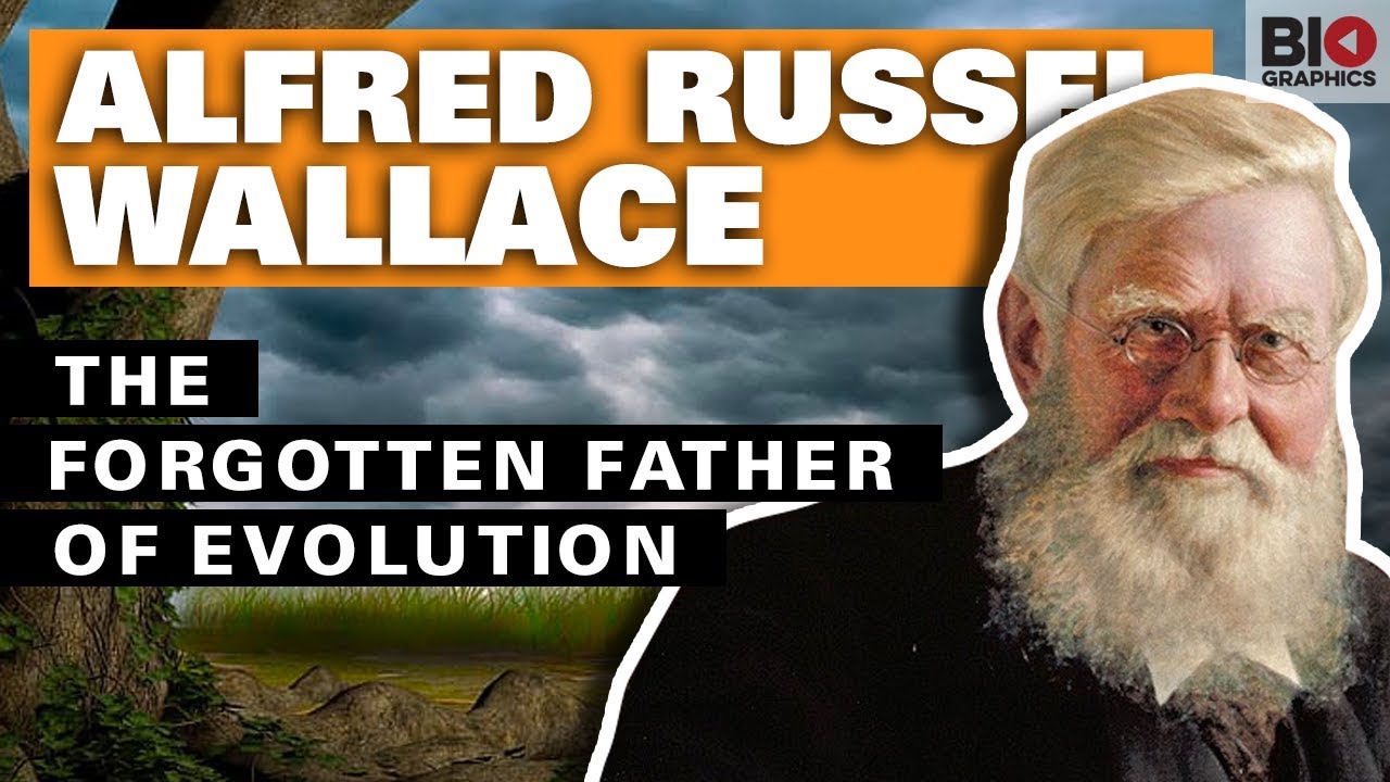 Alfred Russel Wallace The Forgotten Father Of Evolution Youtube