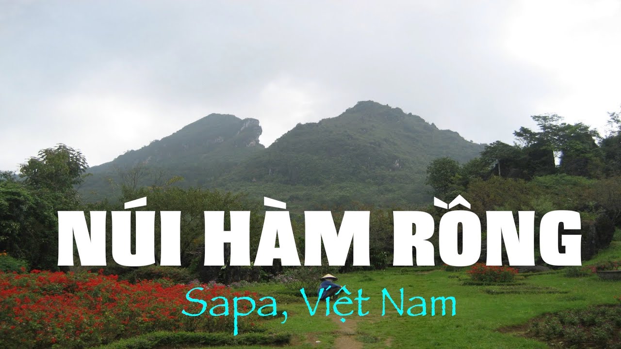 NÚI HÀM RỒNG: Có nhiều loài hoa lạ và đẹp nhất Sapa. DU LỊCH SAPA 2019 ...