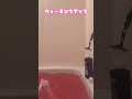 #水鉄砲ネキ #おさむくん #アンチの末路 #shorts