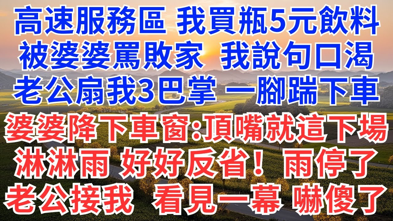 高速服務區我買瓶5元飲料，被婆婆罵敗家，我說句口渴，老公扇我3巴掌，一腳踹下車，婆婆降下車窗：頂嘴就這下場，淋淋雨，好好反省！雨停了，老公接我看見一幕，嚇傻了！#為人處世#慧心家事#小說#故事#婆媳