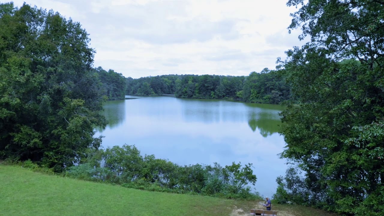 lake lynn YouTube
