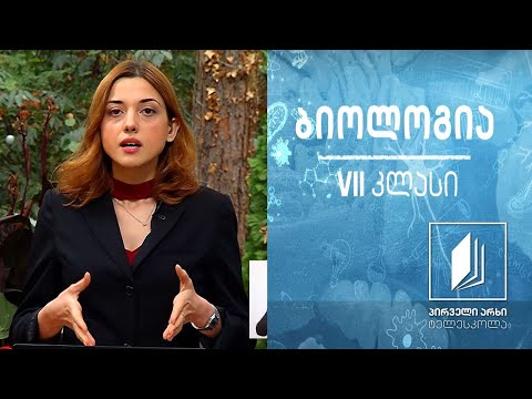 ბიოლოგია VII კლასი - ცოცხალი ორგანიზმების კლასიფიკაცია