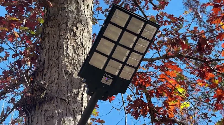 Loyoele Solar Street Lights from Amazon - Highly recommend!