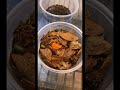 Let’s pack an isopod order for shipping!