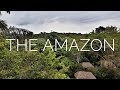 The Amazon in Ecuador | Cuyabeno Lodge