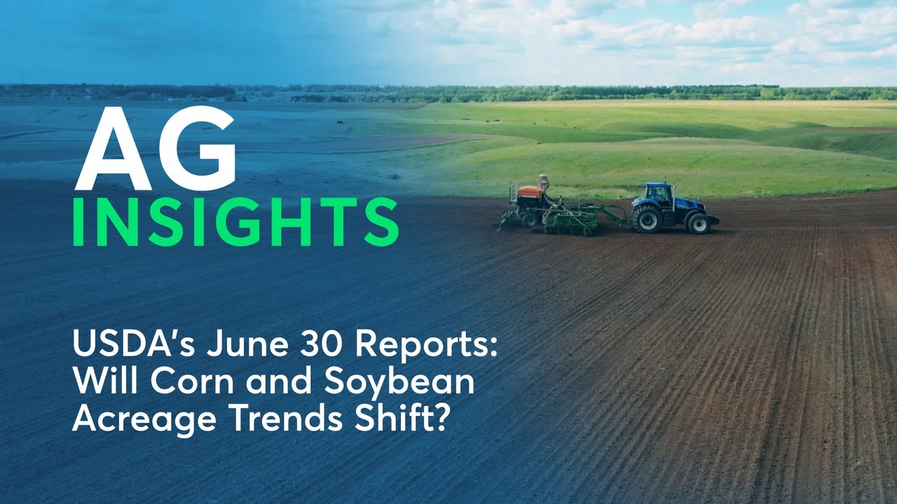 USDA's June 30 Reports: Will Corn and Soybean Acreage Trends Shift ...