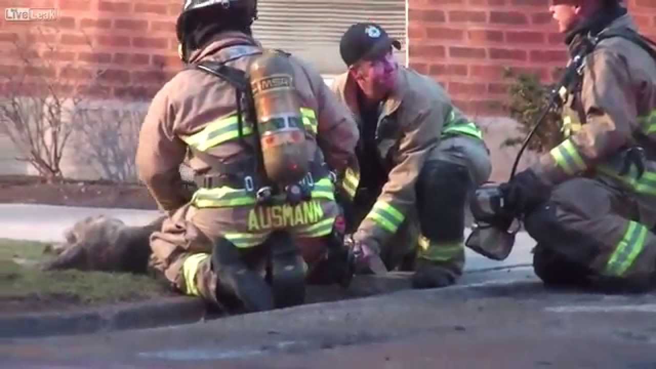 LiveLeak - Firefighters Rescue Dog From Burning Home - YouTube