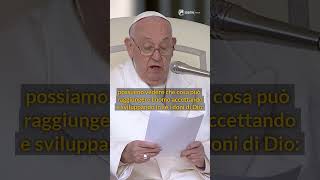 Papa Francesco ricorda l&#39;imminente 10° anniversario della canonizzazione di San Giovanni Paolo II