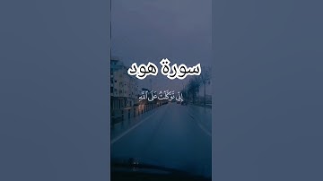إني توكلت على الله ربي وربكم ما من دابة إلا هو آخذ بناصيتها إن ربي على صراط مستقيم. [سورة هود: 56]