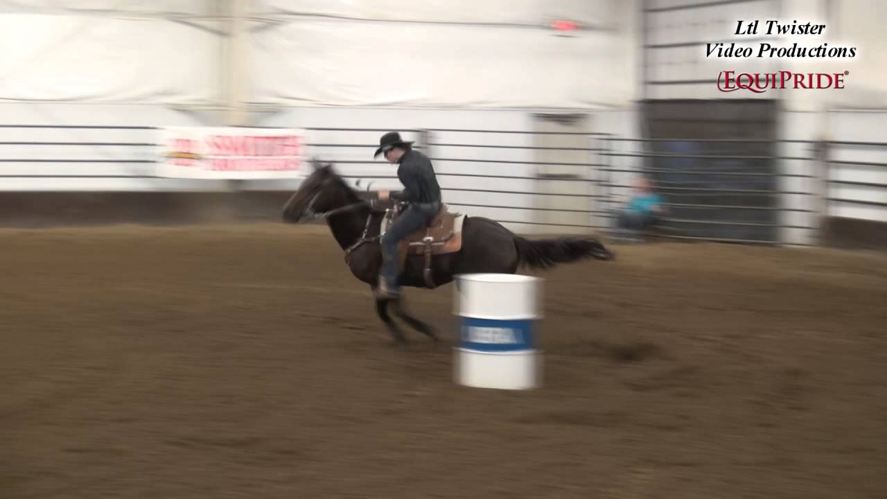 Rachel Lueth & Hilltops Jewel - Open 4D at UBRA World Show - Aug.  7, 2015