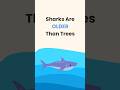 🦈 Sharks Are Older Than Trees! 🤯 | Sounds Fake But True