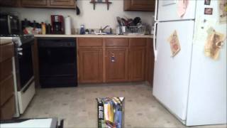 1st mCX2 video