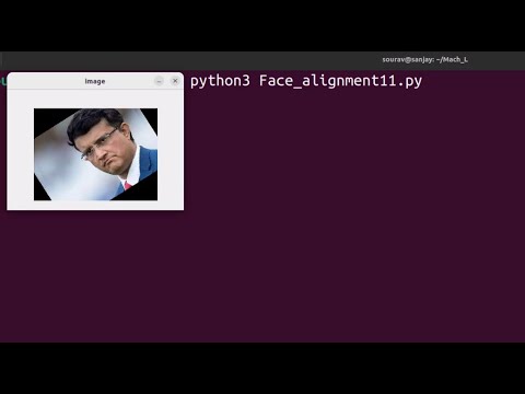 Python face alignment (New) - YouTube