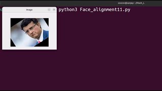 Python face alignment (New)