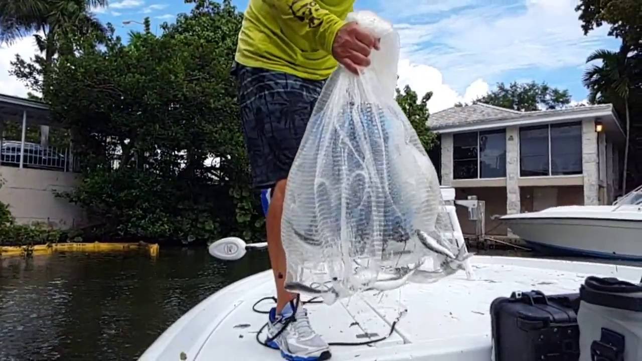 Slow-motion cast net action during the mullet run 2016| Peter Miller Fishing