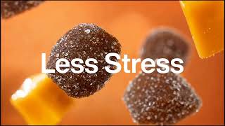 Ashwagandha Gummies Daily Stress Support Calm Energy New Nordic