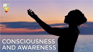 Are Consciousness & Awareness The Same