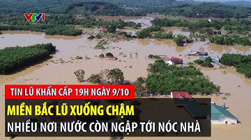 Tin lũ khẩn cấp 19h ngày 9/10: Miền Bắc lũ xuống chậm, nhiều nơi nước còn ngập tới nóc nhà | VTVWDB