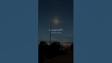 اكتب شيء تؤجر عليه 🤍 #قرآن #ياسر_الدوسري #سورة_المؤمنون #quran