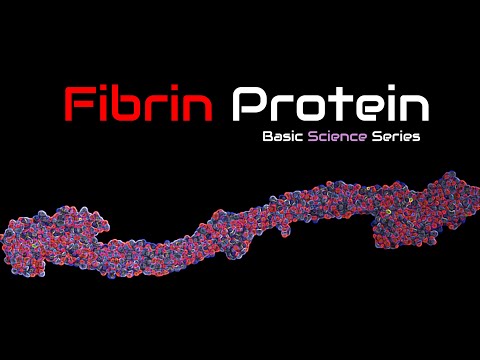 Fibrinogen | Fibrin 3D Structure  | Function | Fibrinogen | Blood Proteins | Basic Science Series