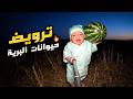 فلوق توأم الذكاء الاصطناعي   رحلة ترويض الحيوانات المفترسة     