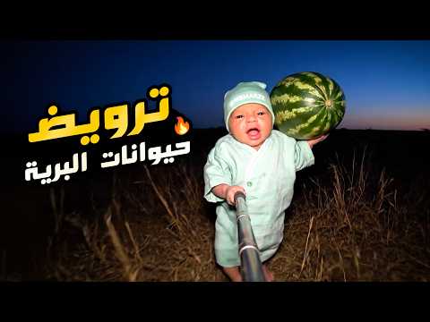 فلوق توأم الذكاء الاصطناعي رحلة ترويض الحيوانات المفترسة