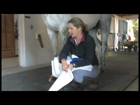 Safely Wrap Your Horse's Legs with Max Corcoran
