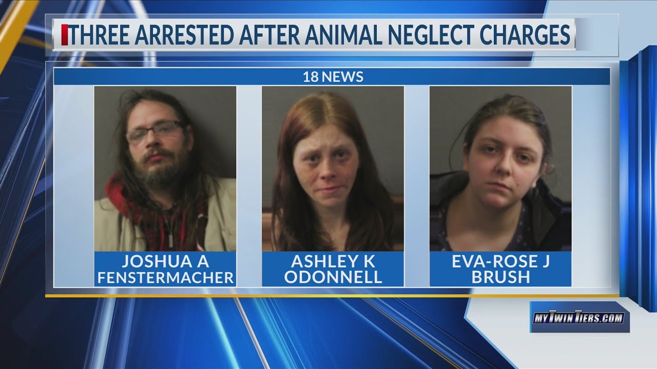 Three arrested in connection to Steuben County animal neglect case ...