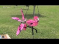 21 pink flamingo