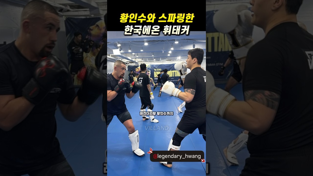 황인수와 스파링한 로버트 휘태커ㅋㅋ😂 