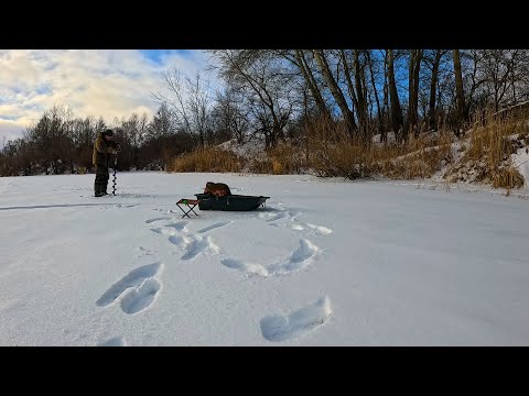 Видео: Зимняя РЫБАЛКА на речке 19 декабря 2023